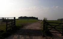 Chanctonbury Ring