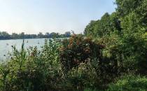 Przebłysk jeziora Białoławki