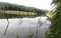 Jezioro w miejscowości Gałczynek.