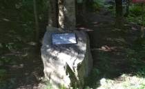 Kamień św.Kingi