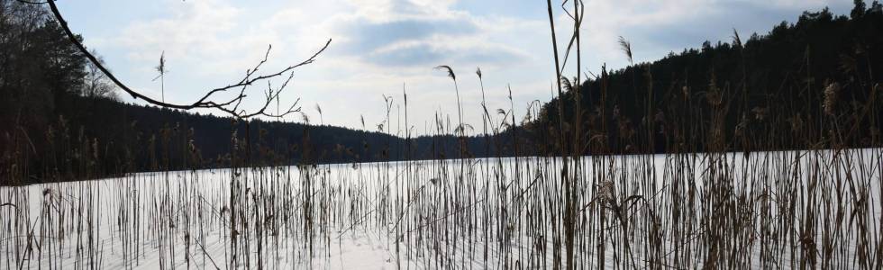 Park Narodowy Bory Tucholskie