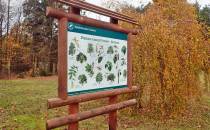 Ścieżka dydaktyczna w Arboretum Kozin