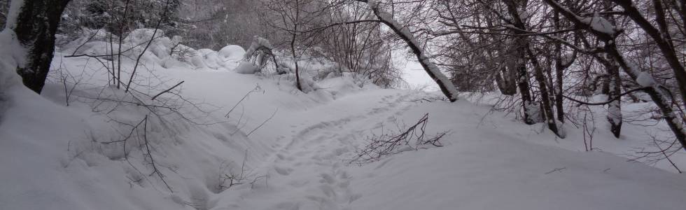 Beskid Niski Zima 2019 dzień 1.