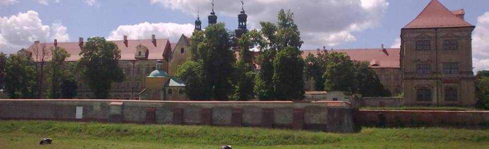 Lubiąż