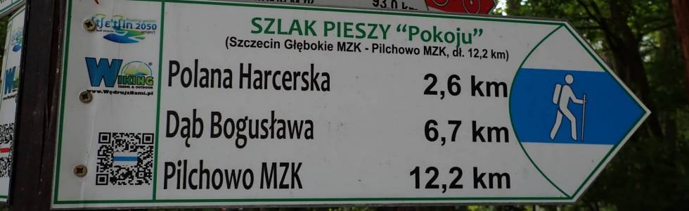 Szlak Pokoju (Pilchowo - Szczecin) - Pieszy Niebieski ver. 2019
