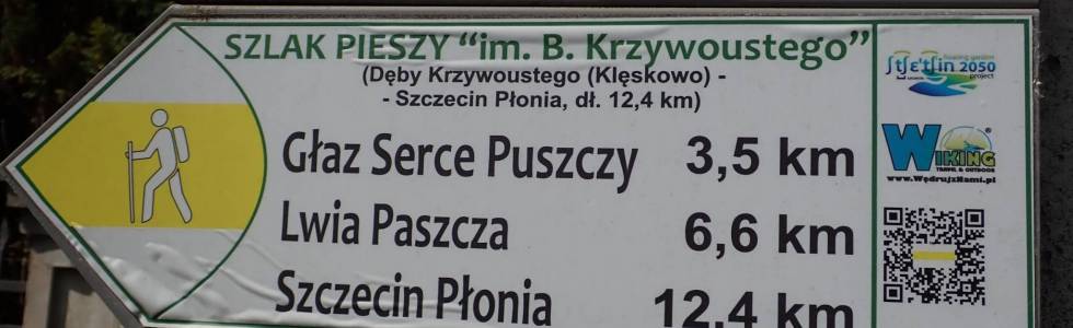 Szlak Krzywoustego (Szczecin) - Pieszy Żółty ver. 2019