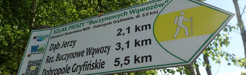 Szlak Buczynowych Wąwozów (Szczecin - Dobrepole) - Pieszy Żółty ver. 2019