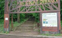 Rezerwat Przyrody Dybanka