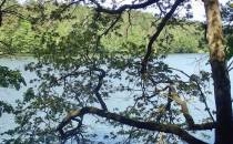 Zza drzew widać jezioro Garczyn