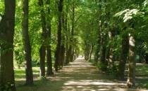 Najsłynniejsza alejka - Park im. płk. Jana Szypowskiego „Leśnika” w Warszawie