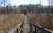 Biebrzański Park Narodowy-Czerwone Bagno