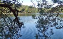 Lobeliowe Jezioro Nierybno