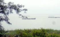 Punkt widokowy na Jezioro Gardno