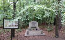Kolejna mogiła zbiorowa zamordowanych przez hitlerowców obrońców Katowic