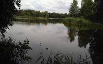 Jezioro Pławniowickie Małe.
