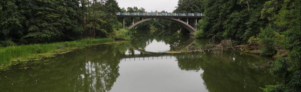 Czernica - Męcikał - Klosnowo - Drzewicz - Czernica