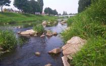 rzeka Lubina-Pribor