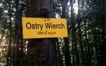 Ostry Wierch