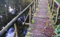 Ścieżka drewnianych mostków