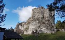 Pozostałości ruin zamku z XIV w.