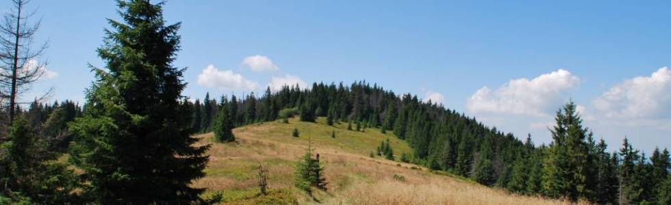 GORCE - GRZBIET Mostownicy i Kudłonia - Kudłoń