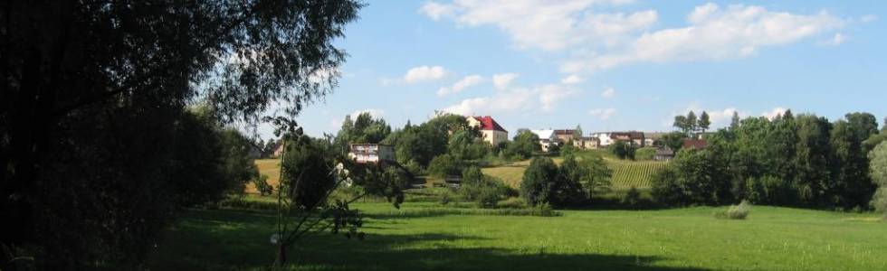 Wodzisław - Detmarovice - Skrbeńsko - Wodzisław