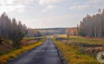 Droga leśna Barachowska.