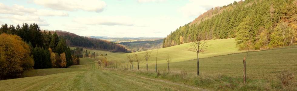 Hronovski Las Cross-Country