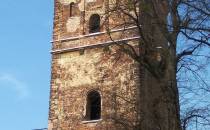 ruiny zamku w Tworkowie