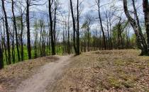 Las na Singletrack Ornecka