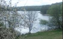Widok na Jezioro Patulskie