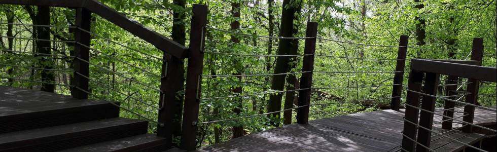 Kampinoski Park Narodowy. Granica. Ścieżka edukacyjna 