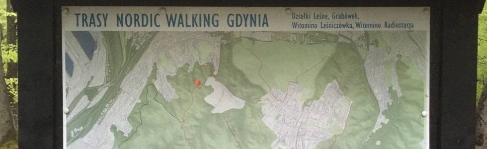 Część Gdyńskiej Trasy ,,Nordic Walking