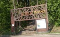 Rezerwat Dybanka