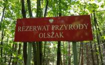 Rezerwat Olszak