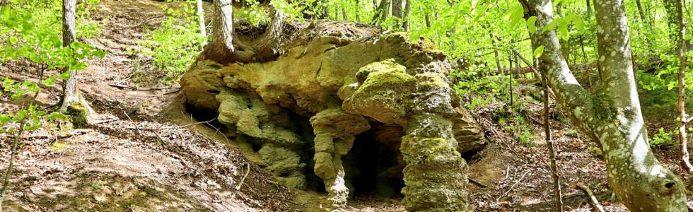 Groty Mirachowskie i Szczelina Lechicka