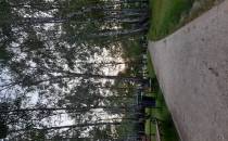 park