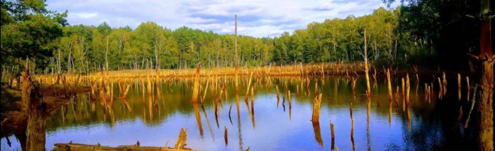 Park Kajobrazowy Łuk Mużakowa Geo Ścieżka Łęknica