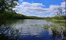 Widok na Jezioro Gwieździniec