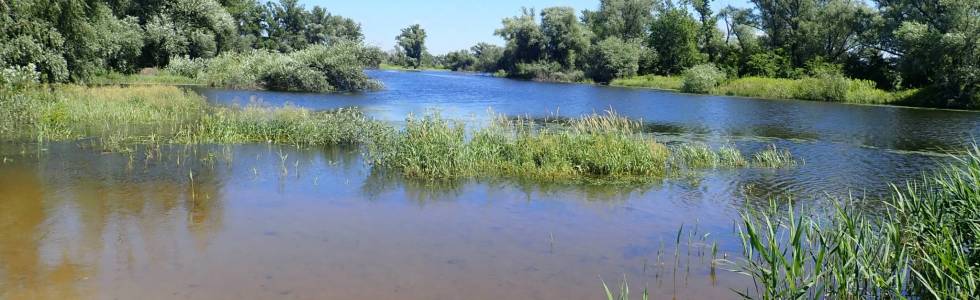 Polder Racibórz dolny