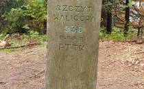 Waligóra