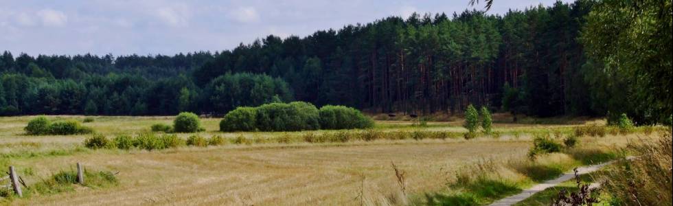 2014-08-20 Koprzywnica-Rudniki