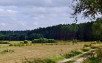 2014-08-20 Koprzywnica(119)