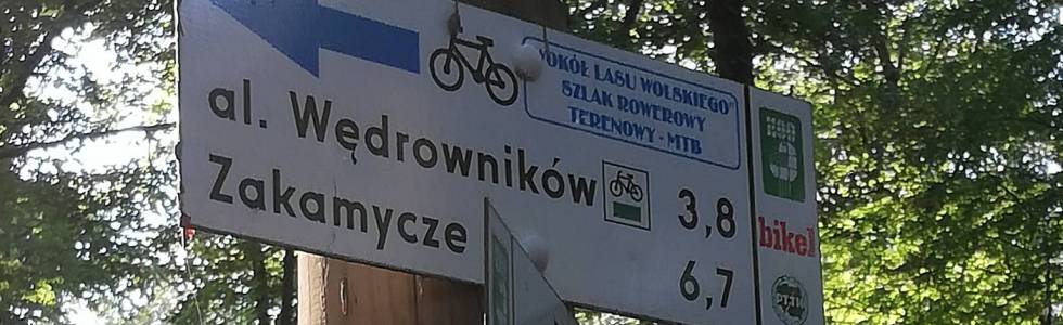 Las Wolski ścieżka MTB