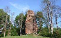Ruiny zamku Wedlów