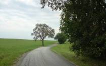 Droga w kierunku Hanuszowic