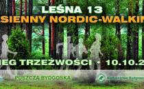 FACE_Banner 820x312 Lesna 13