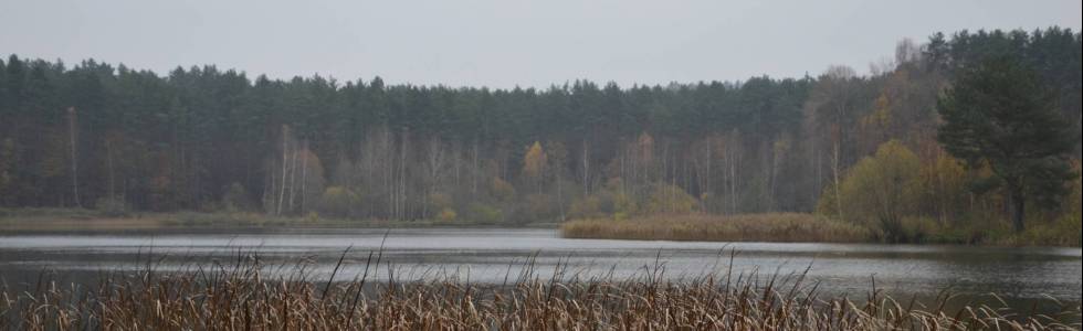 Trasa Polanów - Warblewo - Wielin - Polanów 11.11.2020