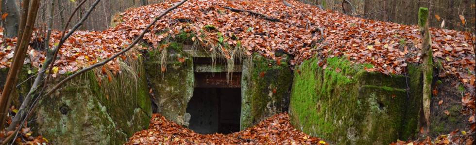 Trasa Rezerwat Strzaliny koło Tuczna 17.11.2020 r.