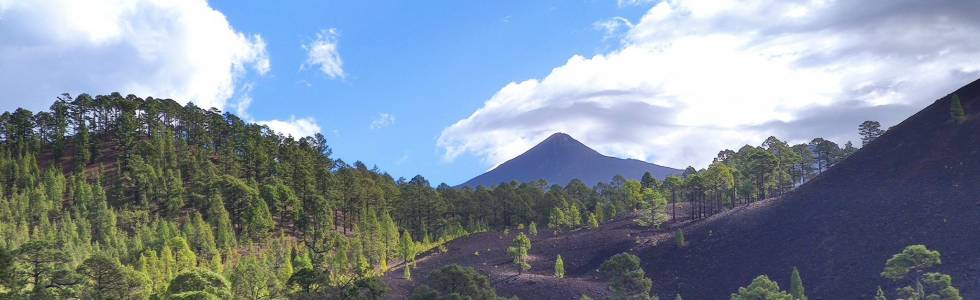 Teneryfa - Teide - Chinyero Volcano Loop
